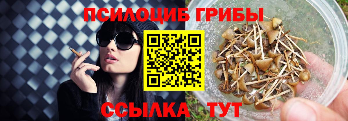 Учалы  Псилоцибиновые грибы Cubensis  купить закладку  Вход с VPN 